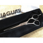 Jaguar CJ4 plus 5.5" Silver Line Master class scissor.